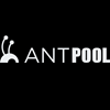 ANTPOOL 마이닝 기업 연합 | 검토와 특징 이미지